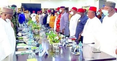 South East Governors Meeting With Defence Minister On Insecurity