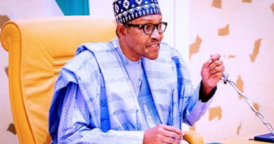 Buhari Promises Final Victory Against Terrorists, Enemies of State