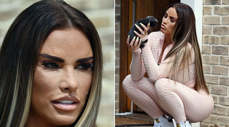 Finally Katie Price's Scarred Face Seen Unfiltered For The First Time After 'Fox Eye' Face-lift (Photos)