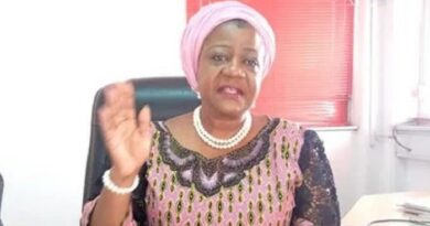 INEC Appointment: Onochie’s Rejection at Senate is Victory for Democracy – PDP