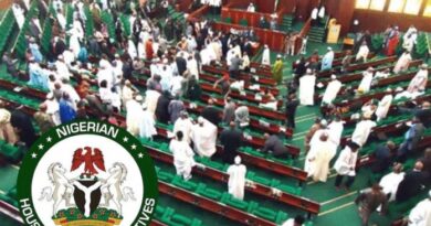 Finally House Rejects Motion to Declare Bauchi State Oil Producing State