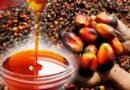 Palm Oil Prices Projected to Hit $1,200 on Global Price Rally