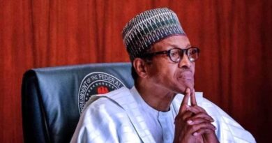 Next Administration Will Inherit Stable Democracy- Buhari