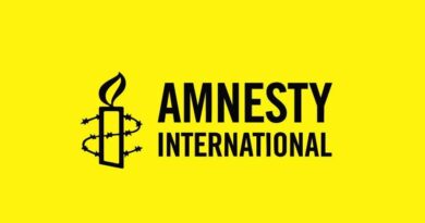 Over 112 killed in Kaduna, Plateau in 30 Days, Says Amnesty International