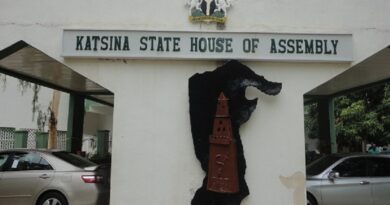 Declare Bandits Terrorists Katsina Assembly Begs Buhari