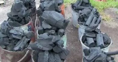 Govt Bans Use Of Charcoal, See Reasons