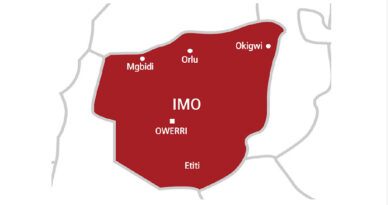 Imo Monarchs Flee as Gunmen Set Palaces Ablaze, Kidnap Two