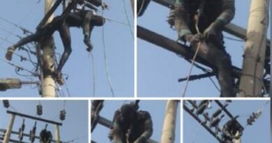 Suspected Criminal Electrocuted in an Attempt to Steal Transformer Cables in Kano (See Photos)