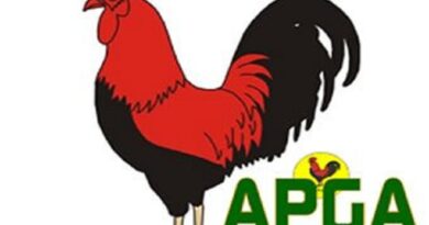 APGA Rejects Enugu LG Election Results