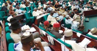 Reps Propose 7 Years Jail Term, N500m Fine For Politicians Seeking Treatment Abroad