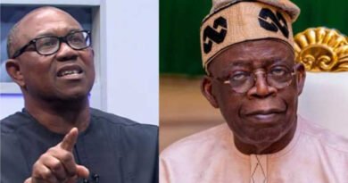 The Labour Party presidential candidate in the last general election, Mr Peter Obi, has called on President Bola Tinubu to