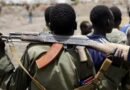 Gunmen Kill 21 Residents in Plateau Community