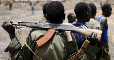 Gunmen Kill 21 Residents in Plateau Community