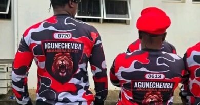 ‎Enugwu-Ukwu Agunechemba Joint Security Team Intensifies Bush-Combing Operations Against Criminal Elements in Anambra State