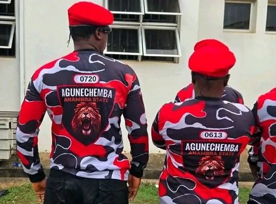 Enugwu-Ukwu Agunechemba Joint Security Team Intensifies Bush-Combing Operations Against Criminal Elements in Anambra State