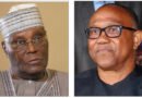 Obi, Atiku Lack Structure in North to Defeat Tinubu, says Ganduje