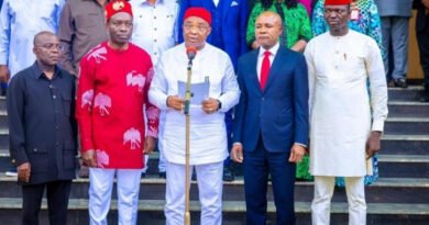 2027:South-East Governors Resolve To Back Tinubu’s Re-Election, Says Uzodimma
