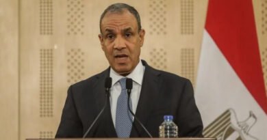 Egyptian Foreign Minister Discusses Regional De-escalation, Maritime Security with Iranian