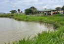Governor Caleb Mutfwang Revives Panyam Fish Farm and Other Projects