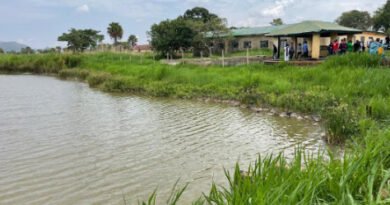 Governor Caleb Mutfwang Revives Panyam Fish Farm and Other Projects