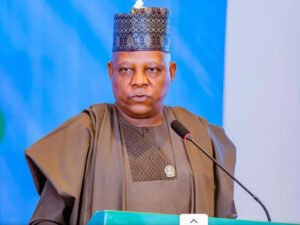 Tinubu Nominates Vice President and Six Governors to Visit Benin Republic to Study Development Model