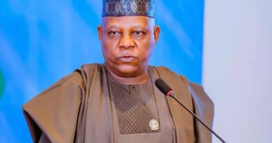 Shettima Insists Africa Must Control Its Resources