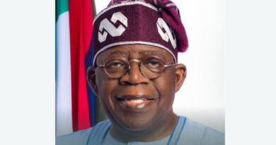 President, Federal Republic of Nigeria, Bola Ahmed Tinubu (GCFR), a Reformist