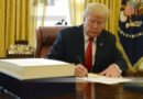President Trump Praises Tinubu for Decisive Leadership