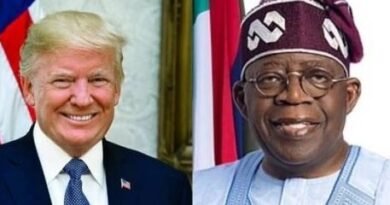 President Tinubu Wins Trump's Trust with Decisive Blows on Terrorists