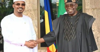 Chad Announces Visa-free Entry for Nigerians and these African Countries